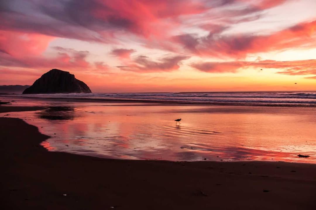 AI & Machine Learning