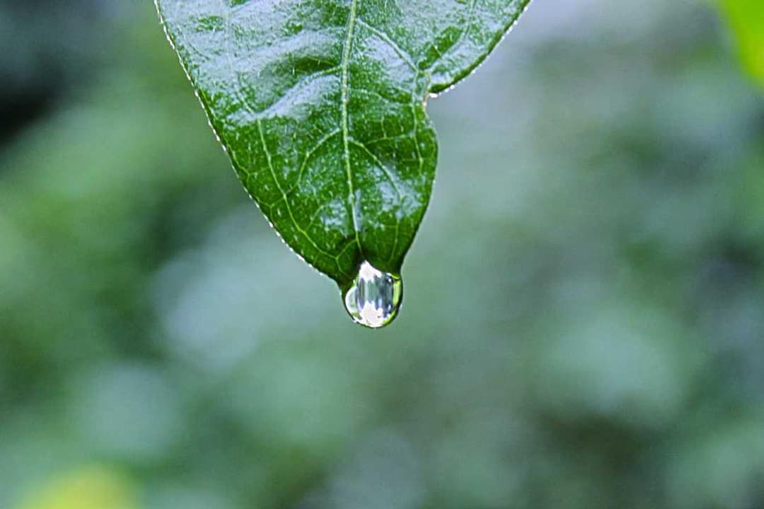 Environmental Science